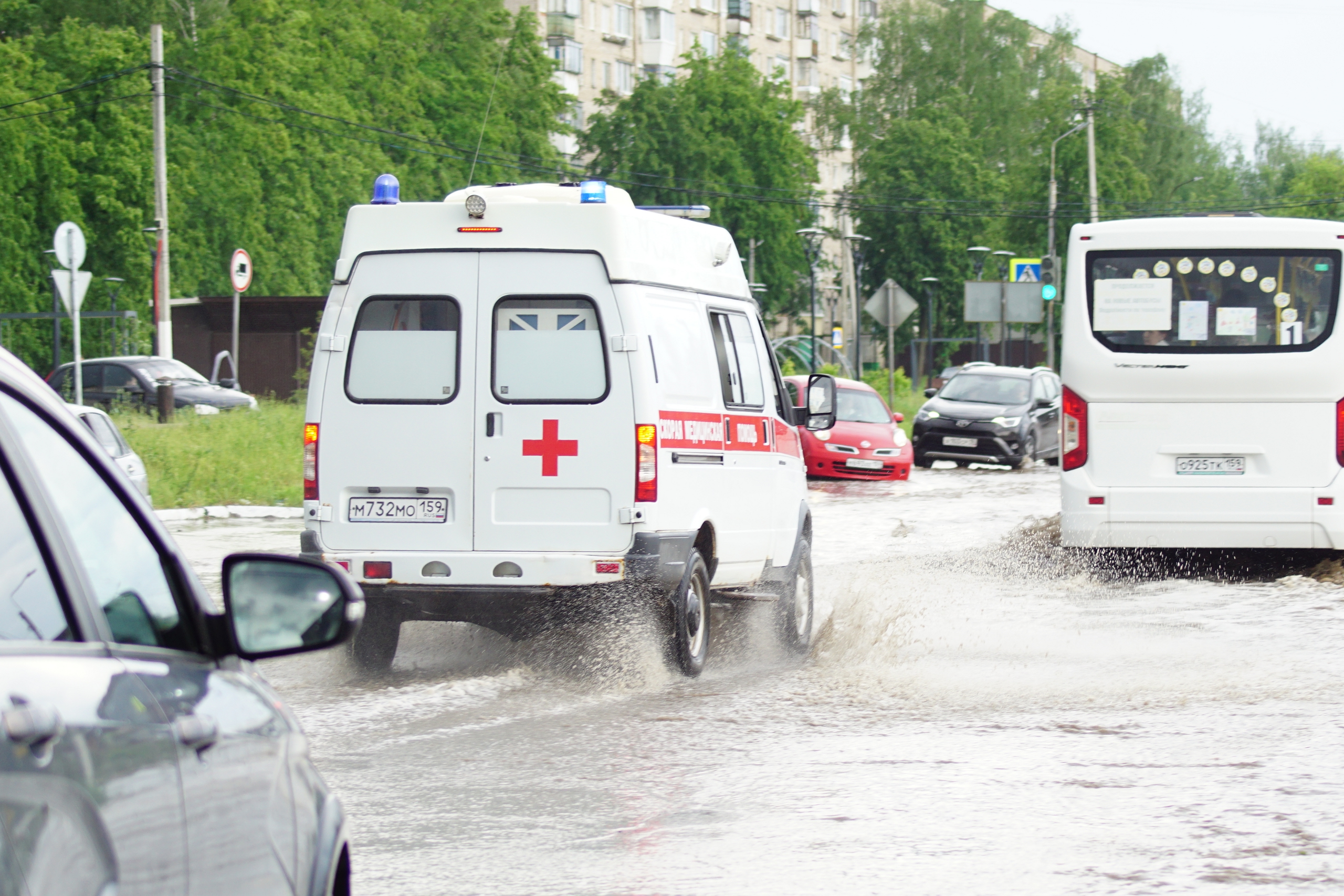 Сводка 03: с 3 по 9 августа