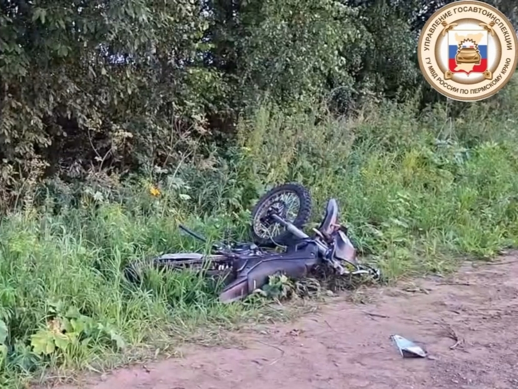 В больнице скончалась вторая девушка, попавшая в ДТП на питбайке